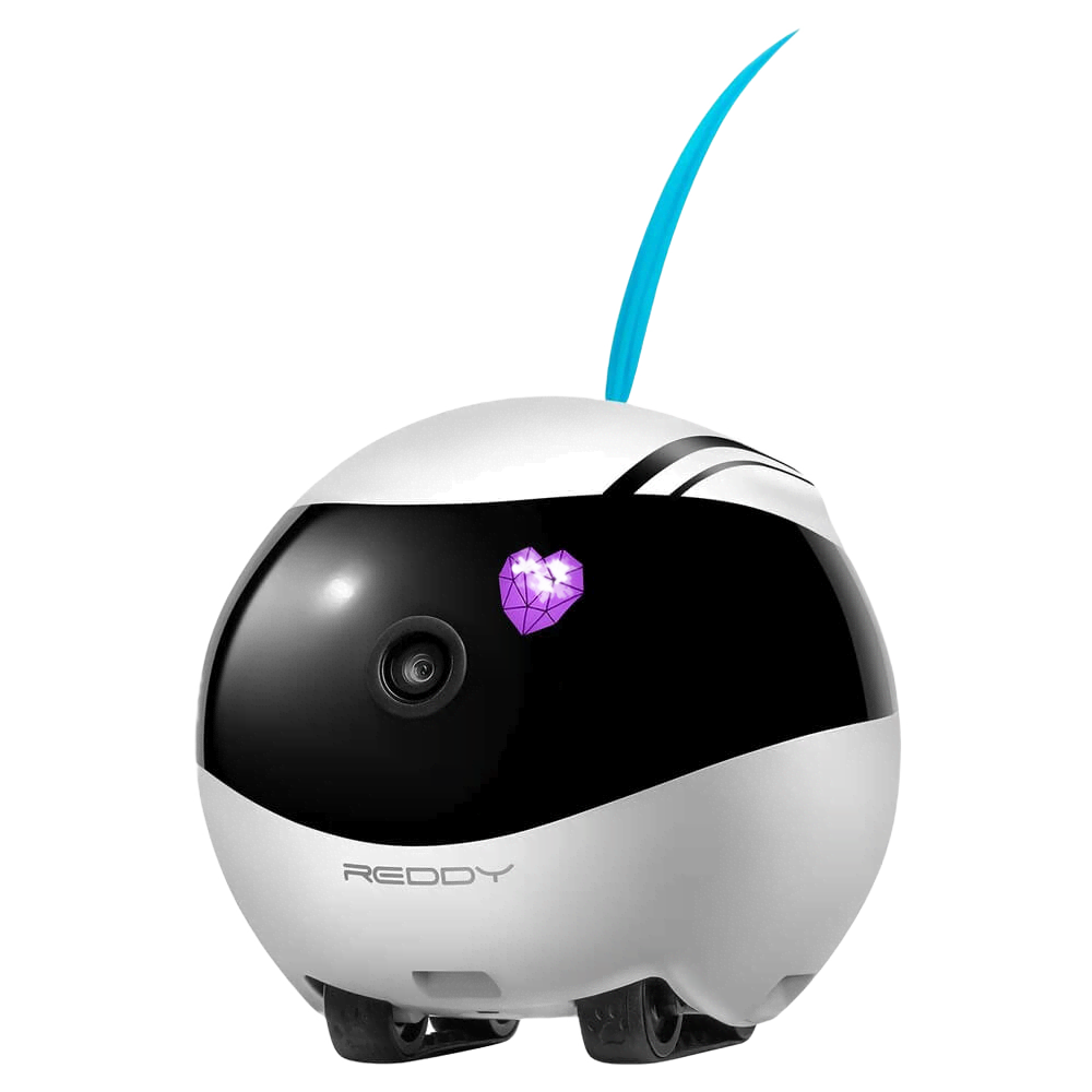 Баннер Новинки