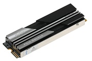 Жесткий диск SSD M.2 2 ТБ Netac NV5000 с радиатором NVMe PCI-E 4.0 x4, TLC, R5000/W4400 МБ/с, 2280, 1400 TBW (NT01NV5000-2T0-E4X)